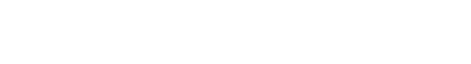 Workplace Skills  Plans (WSP)