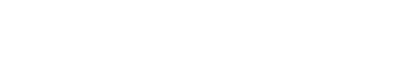 Training & Skills Development